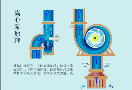 離心泵 離心泵
